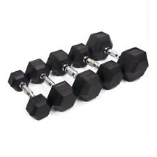 Hex Dumbbells Pairs Rubber